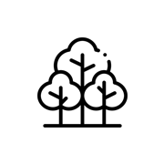 forest-2 Homepage Fast elementor